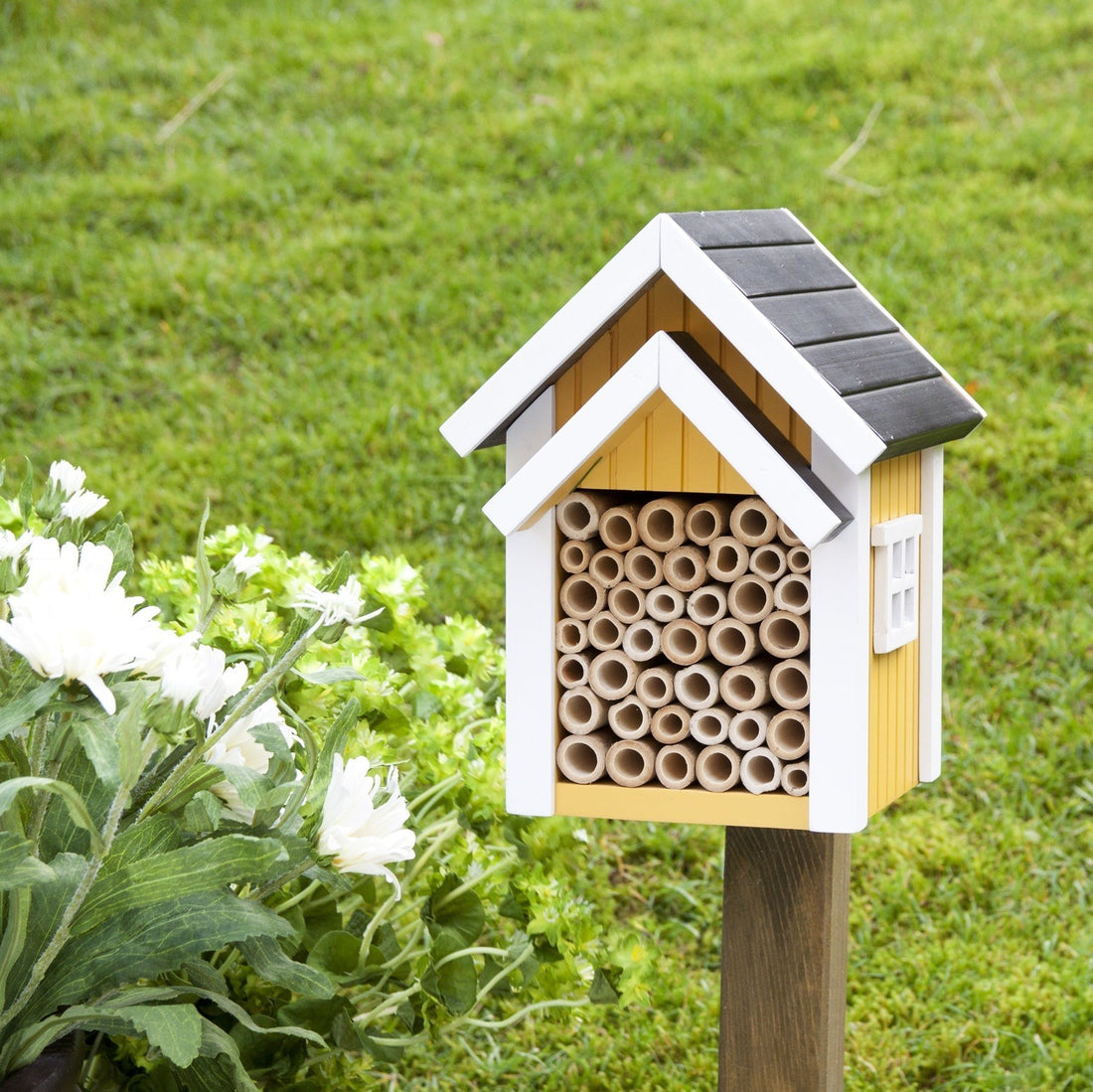 Yellow Bee Box for Solo Bees