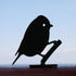 Blue Tit Silhouette