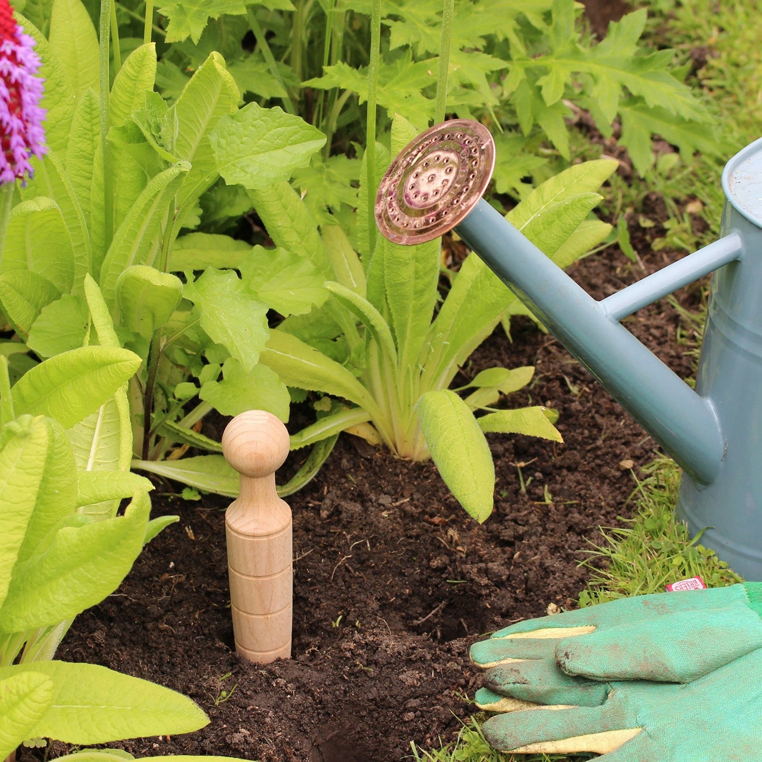 Plant Dibber - Garden Tools