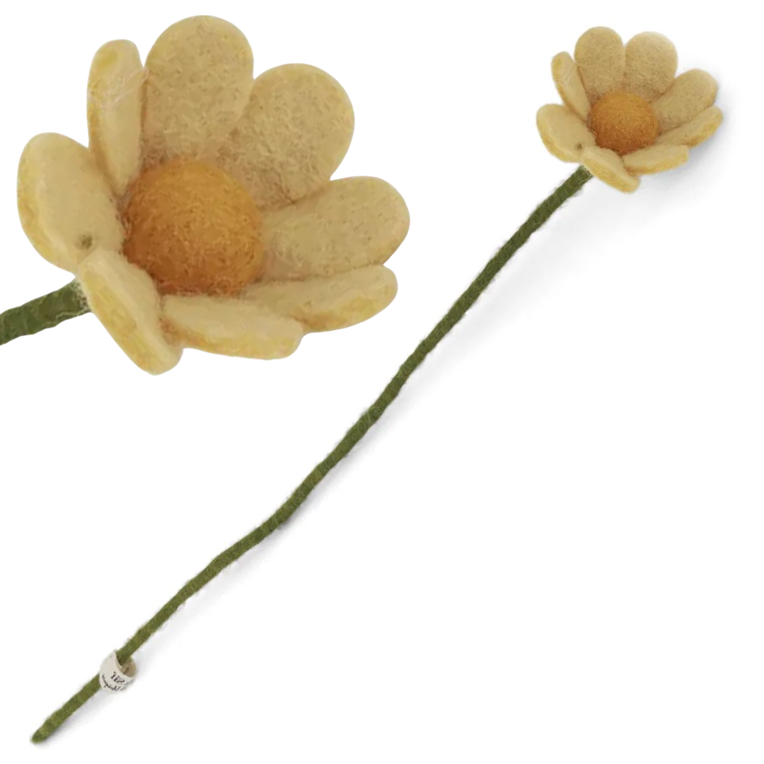 Anemone Flower in 3 Colours