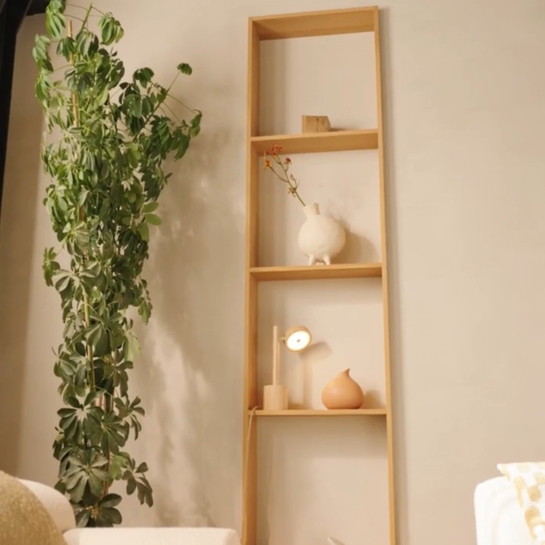 Ashwood Reading LED Lamp in 3 Colours