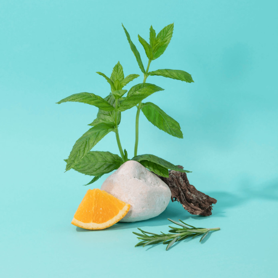 Liquid Soap Mint Basil - 3 sizes