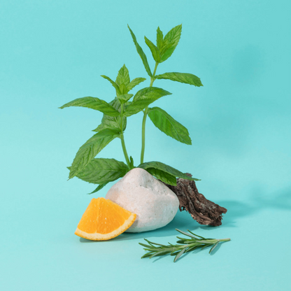 Liquid Soap Mint Basil - 3 sizes
