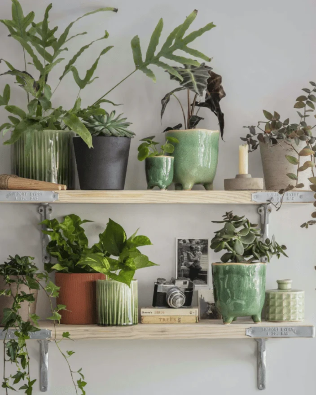 Forest Green Ceramic Plant Pot in 2 Sizes