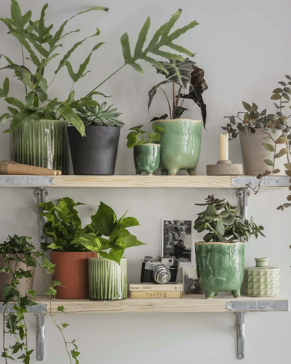 Forest Green Ceramic Plant Pot in 2 Sizes