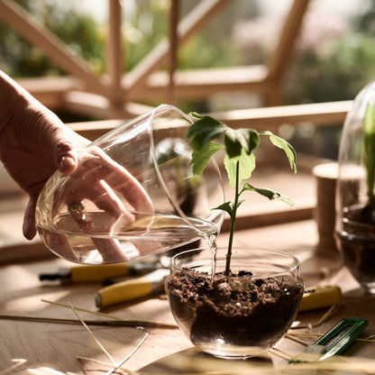 Grow Greenhouse Large
