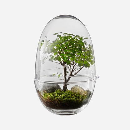 Grow Greenhouse glass indoor plant grower