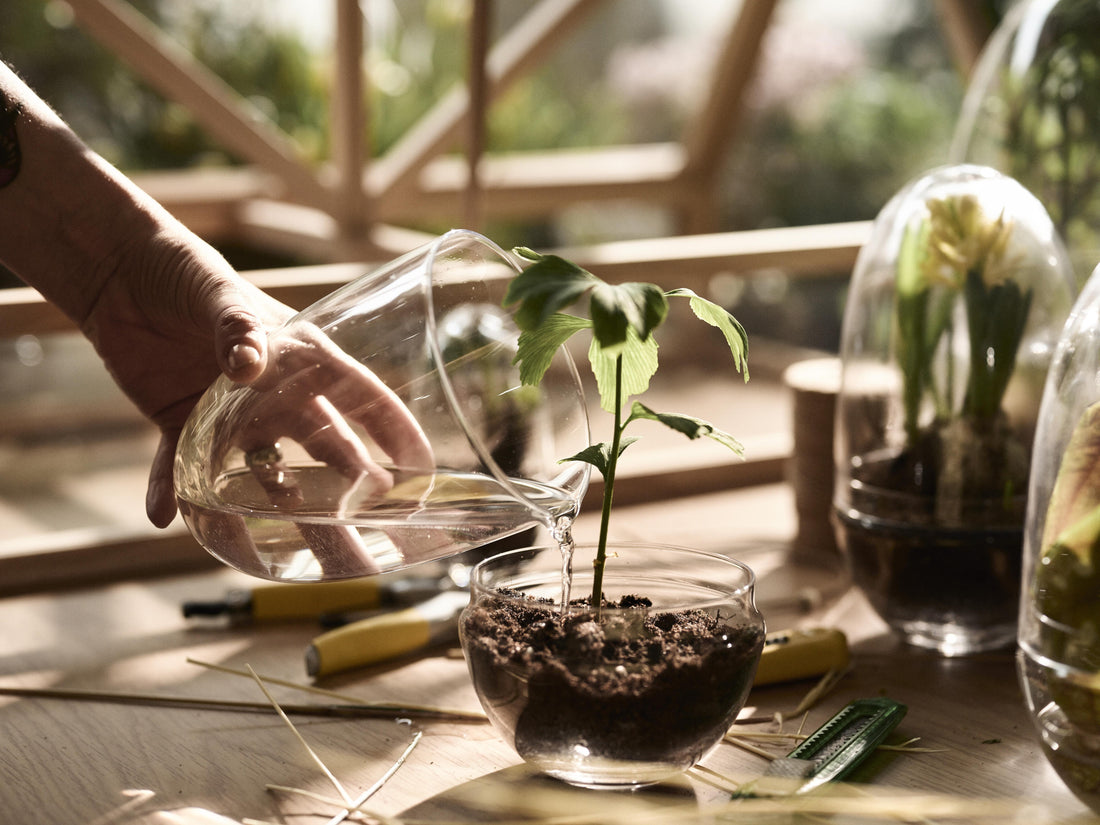 Grow Greenhouse