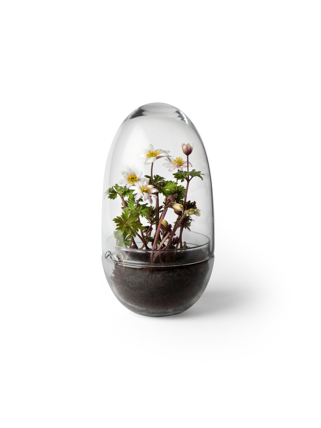 Grow Greenhouse