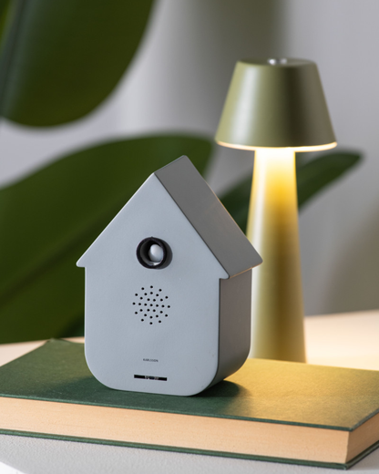 Modern Cuckoo Sound Box in 4 Colours