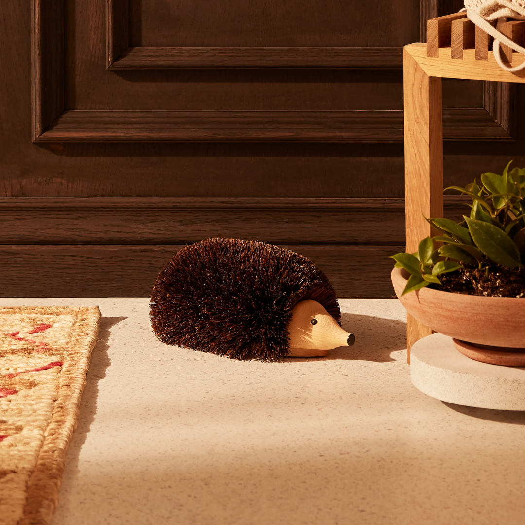 Hedgehog Shoe Cleaner