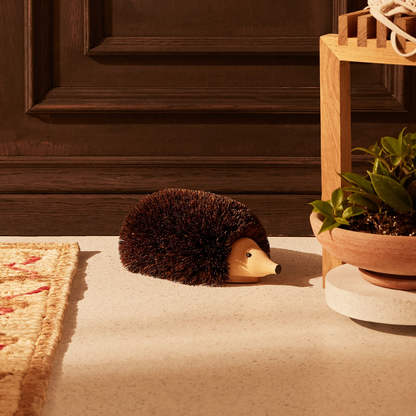 Hedgehog Shoe Cleaner