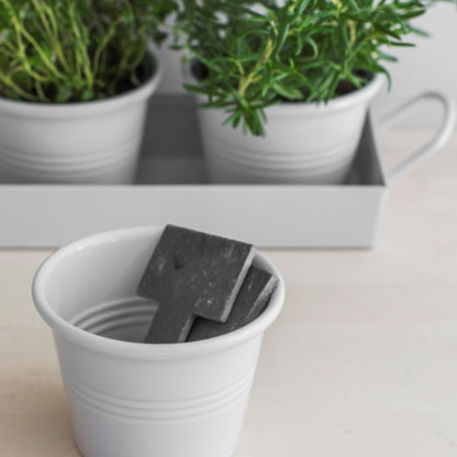 Set of 3 Pots on a Tray in White