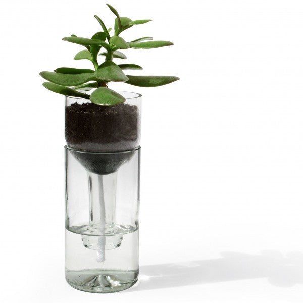 Self Watering Planter
