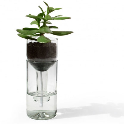 Self Watering Planter