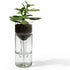 Self Watering Planter