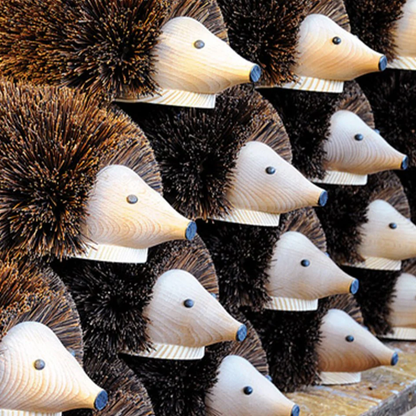 Hedgehog Shoe Cleaner