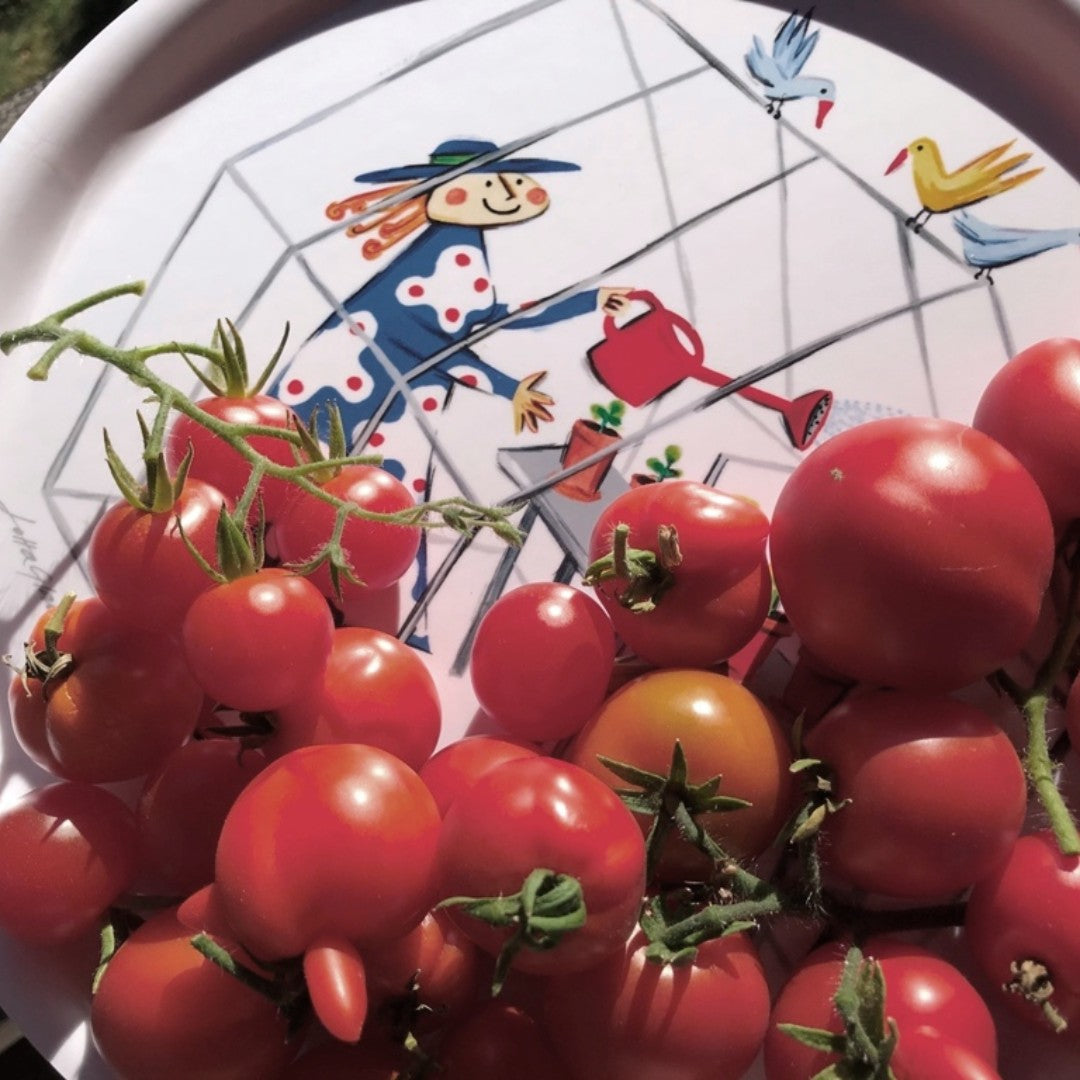 Green House Tray 31cm
