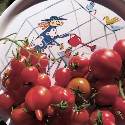 Green House Tray 31cm