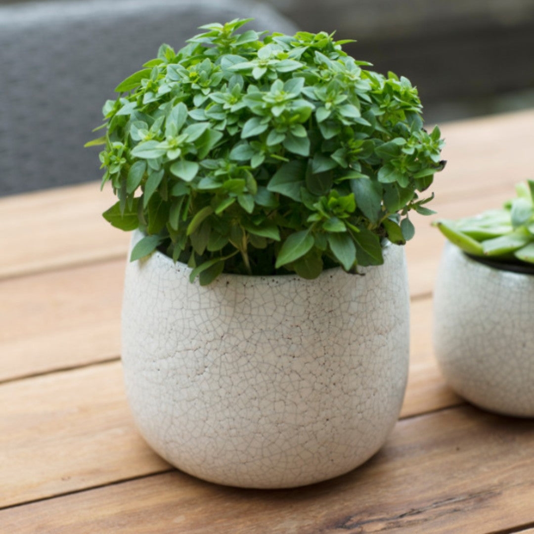 Ravello Plant Pot
