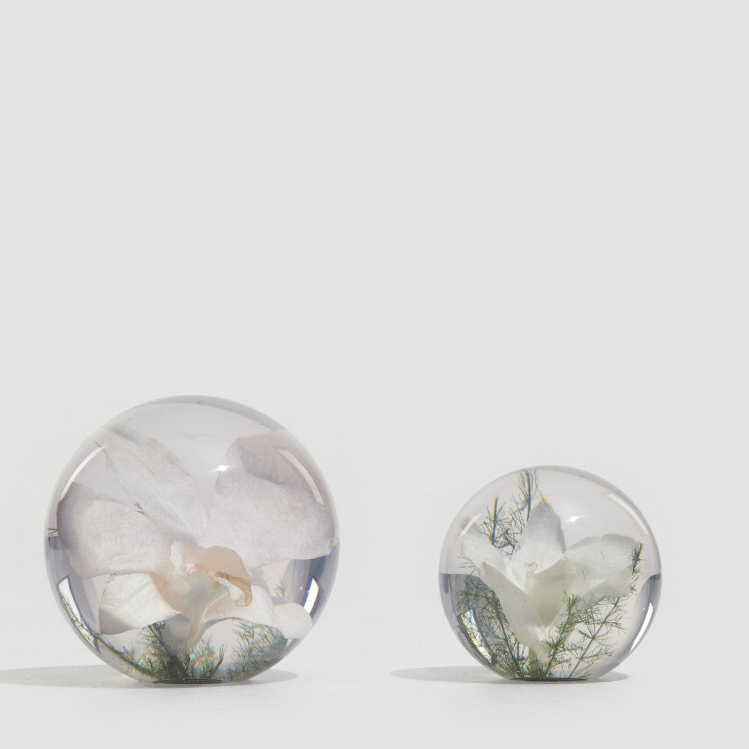 Orchid Paper Weight - 2 sizes