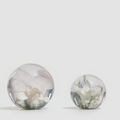 Orchid Paper Weight - 2 sizes