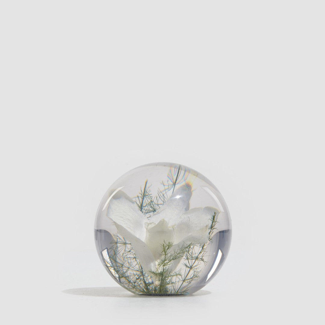 Orchid Paper Weight - 2 sizes