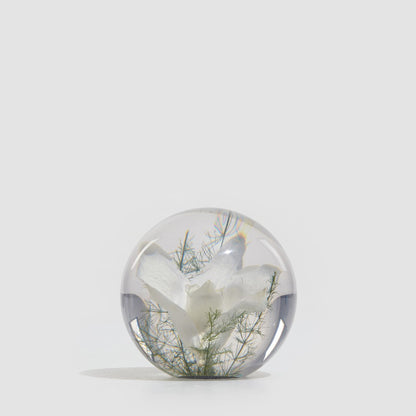 Orchid Paper Weight - 2 sizes