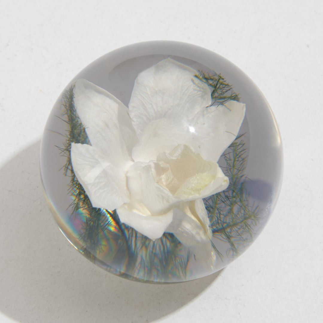 Orchid Paper Weight - 2 sizes