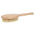 Massage Brush with Long Handle