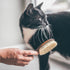 Cat Pet Brush