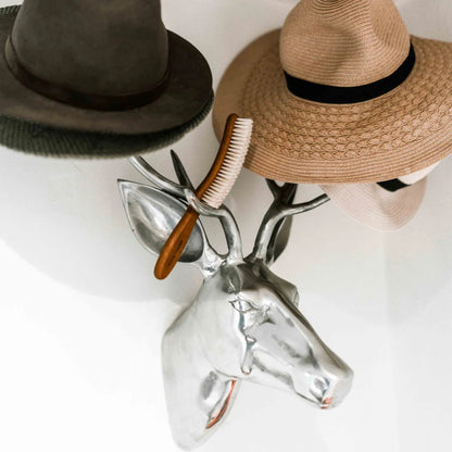 Hat Brush