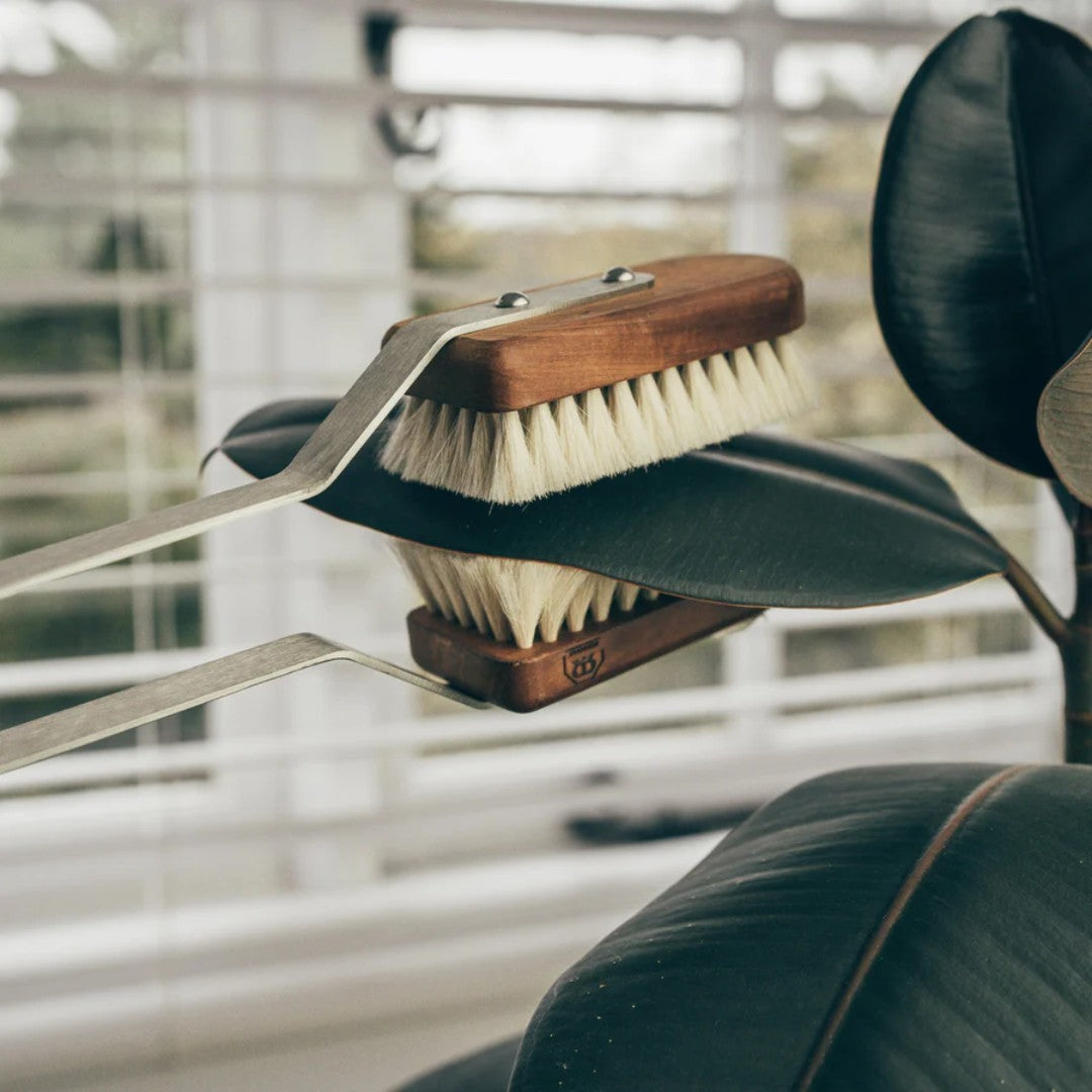 A timber brush to clean your indoor plants 
