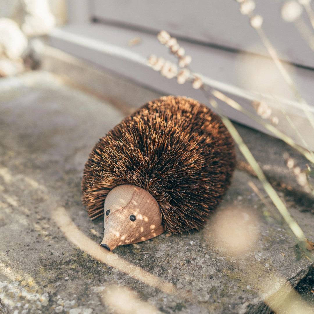 Hedgehog Shoe Cleaner