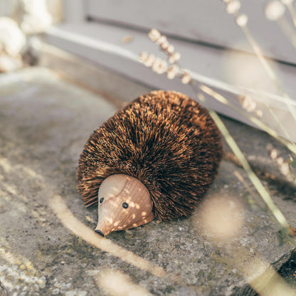 Hedgehog Shoe Cleaner