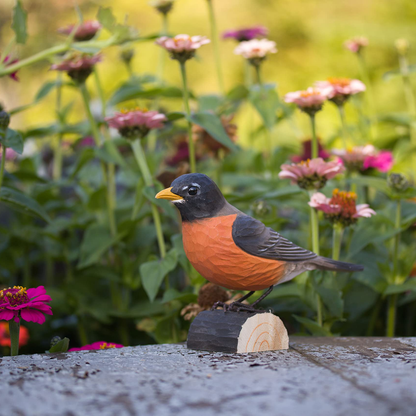 Hand-Carved Wooden Bird in 5 Bird Types