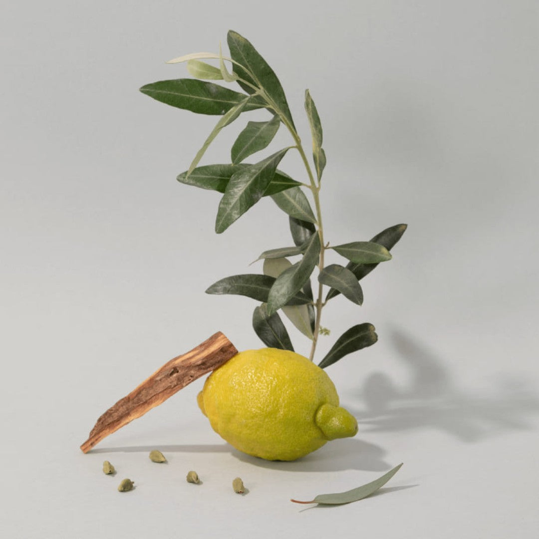 Hand Cream Olive Wood