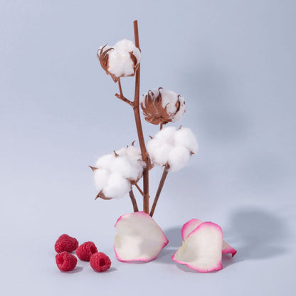 Hand and Body Lotion - Cotton Flower
