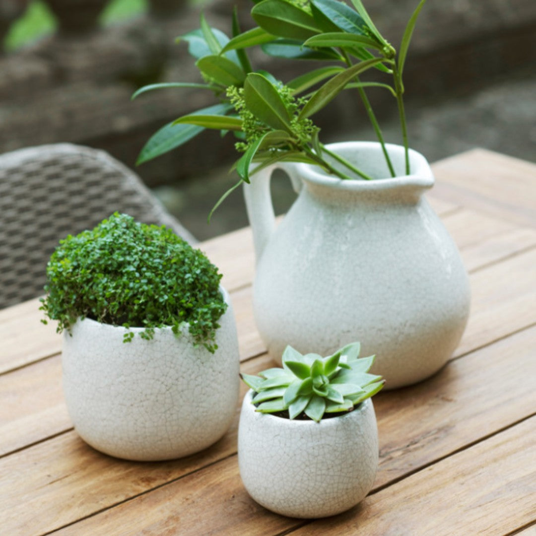 Large Ceramic Plant Pot with Crackled Finish