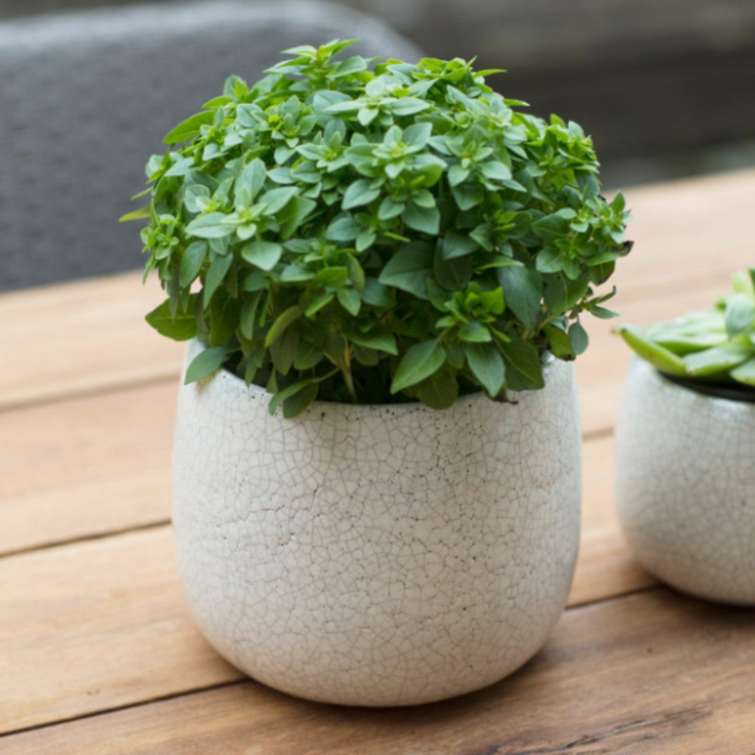 Large Ceramic Plant Pot with Crackled Finish