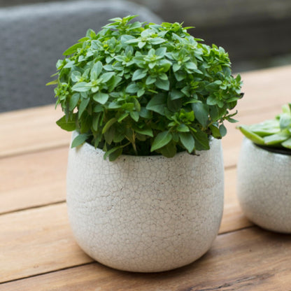 Large Ceramic Plant Pot with Crackled Finish