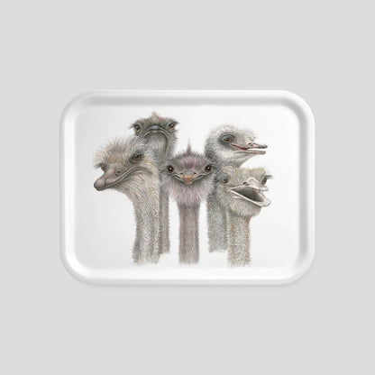 Ostrich Tray