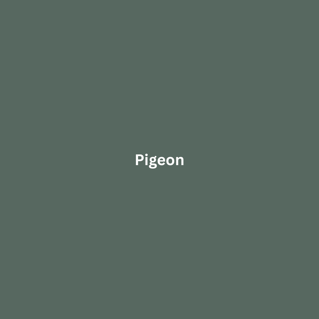 Pigeon New Delhi Cushion 40 x 60cm